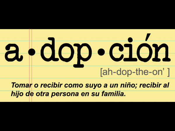 adopción description